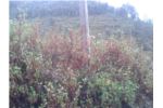 6 Anna Residential Land on Sale at Thankot Chandragiri nagarpalika.
